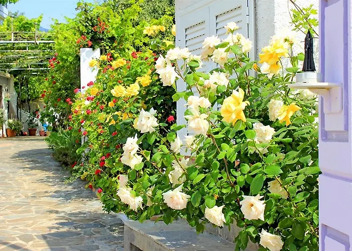 Aparthotel Lygies Trapezaki (Kefalonia)